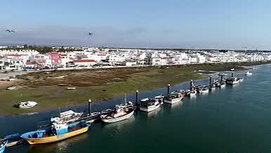 海鸥飞过葡萄牙古城碧蓝海岸线视频的预览图